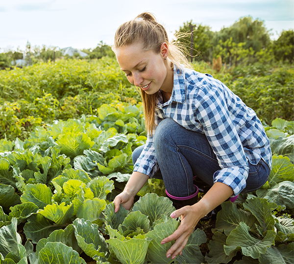 young woman examines her crop yield