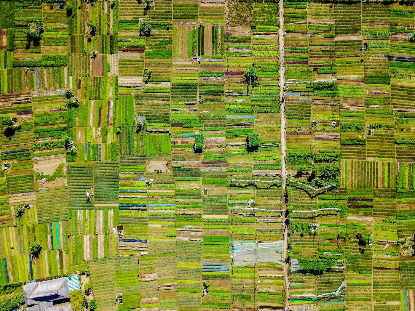 Vast biodiverse landscape of farming agriculture.